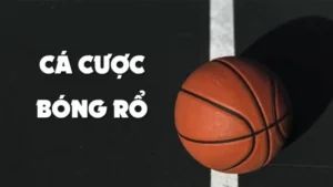 Chiến Thuật Vàng Khi Tìm Hiểu Cá Cược Bóng Rổ RikVip Chuyên Nghiệp Nhất