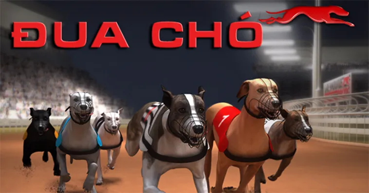 Bí Quyết Thắng Lớn Game Nhanh Đua Chó Tại RikVip Nhận Thưởng Cực Cao