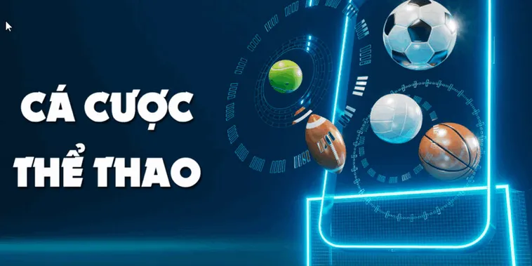 Trải Nghiệm Cá Cược Thể Thao RikVip Với Tỷ Lệ Thưởng Cao Và Hoàn Trả Khủng